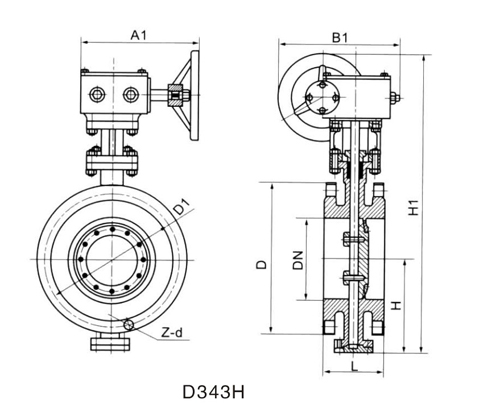 D343H.jpg